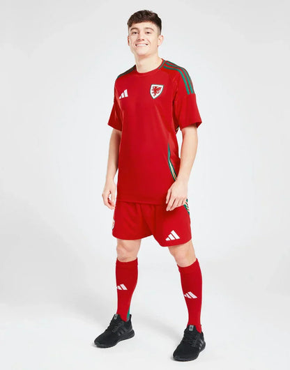 WALES 2024 HOME JERSEY
